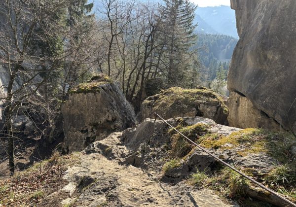 Blockschlucht_5