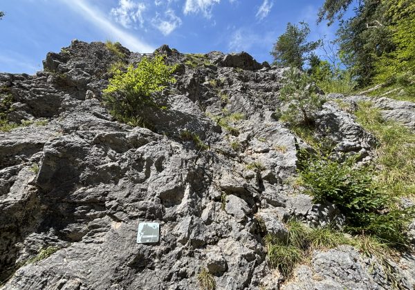 Einstieg Umatum
