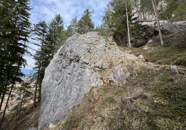 Glatzkopf