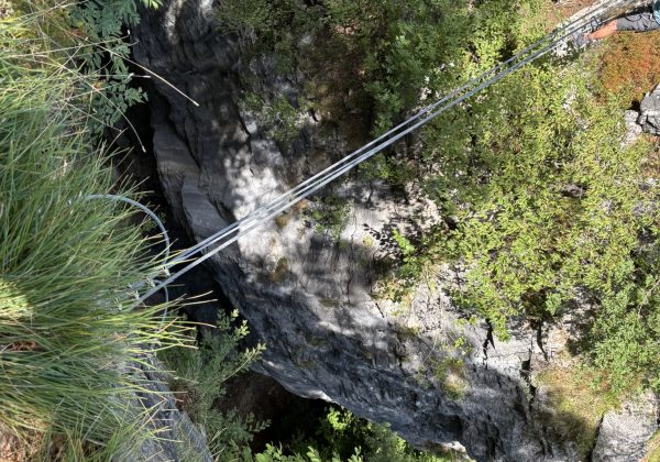 Seilbrücke_Blick von oben